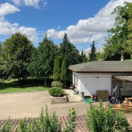 Ve Vinici * Hustopeče