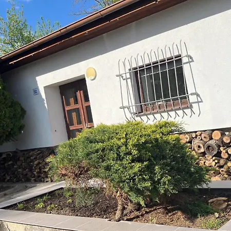 Ve Vinici * Hustopeče