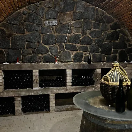Casa vacanze Ve Vinici